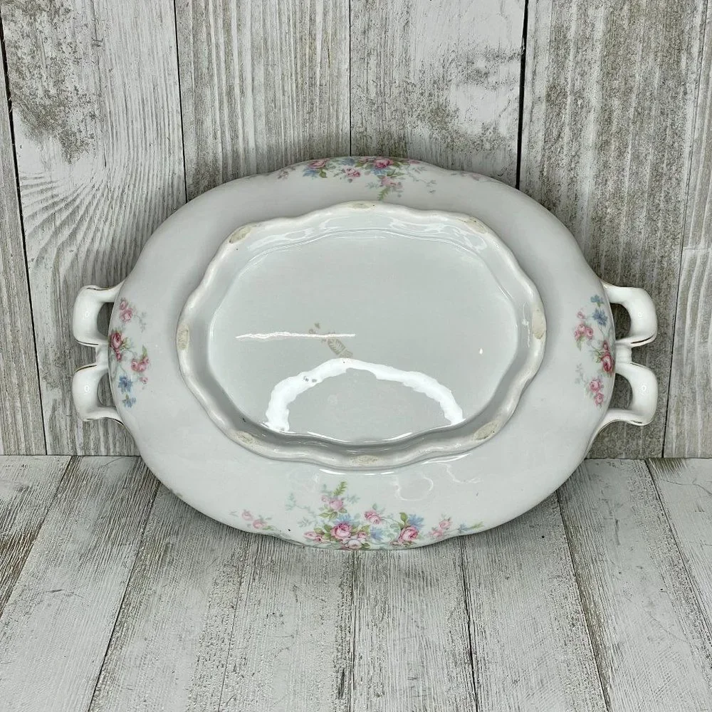 Antique Schönwald R.S.A.G. Bavaria Porcelain Covered Serving Dish, Platter, & Gr